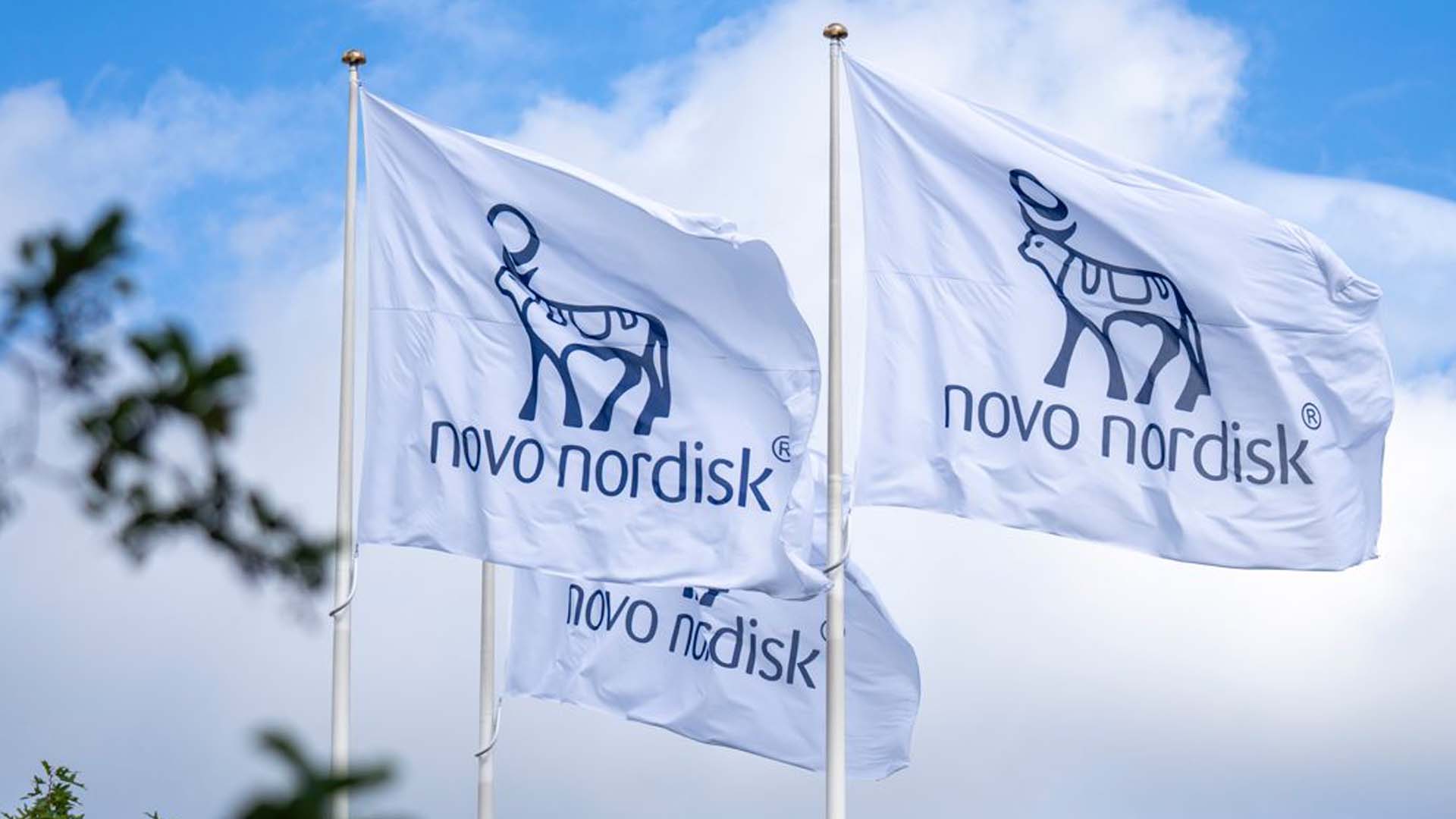 Novo Nordisk shares rise on promising amycretin obesity drug trial